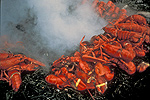 Traditional Lobster Bake - Photo Courtesy of the Convention & Visitors Bureau of Greater Portland 
